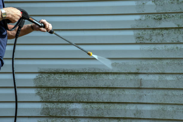 Best Sidewalk and Walkway Cleaning  in West Buechel, KY